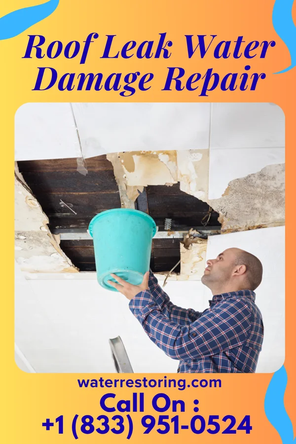 Roof Leak Water Damage Repair in Fairford, AL